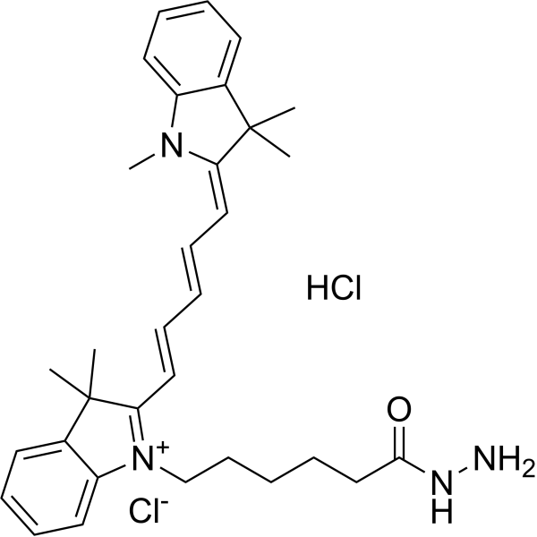 Lumiprobe CY 5 hydrazide HCl 1427705-31-4